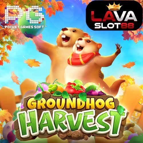 Groundhog Harvest