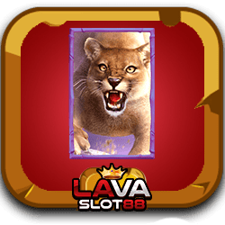 BuffaloWin สล็อตพีจี