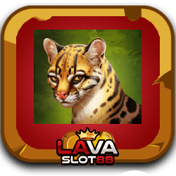 สล็อตเล่นฟรี-Panthers-Reign