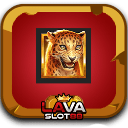 สล็อตYGGเรกกิ้งป๊อบ