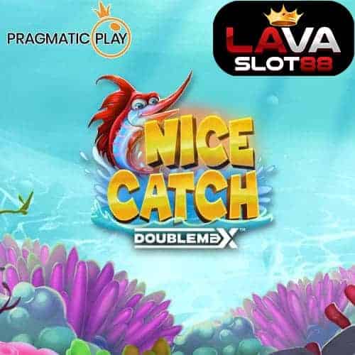 Nice Catch DoubleMax