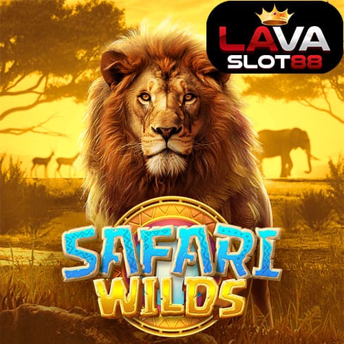 Safari Wilds