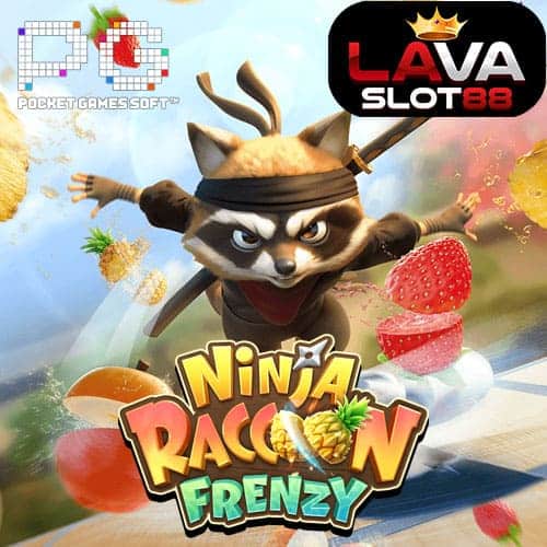 Ninja Raccoon Frenzy